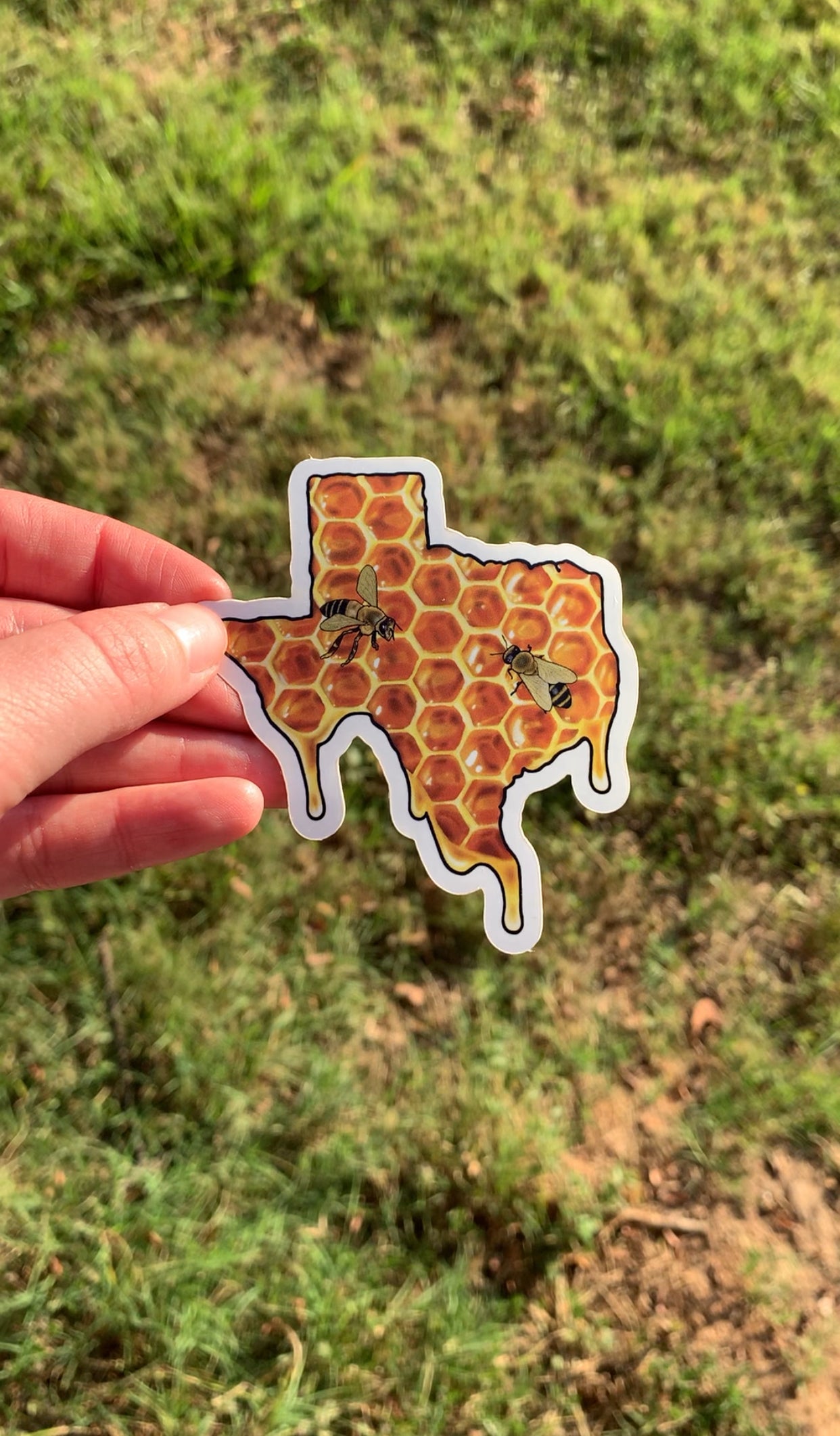 Texas Honey Sticker