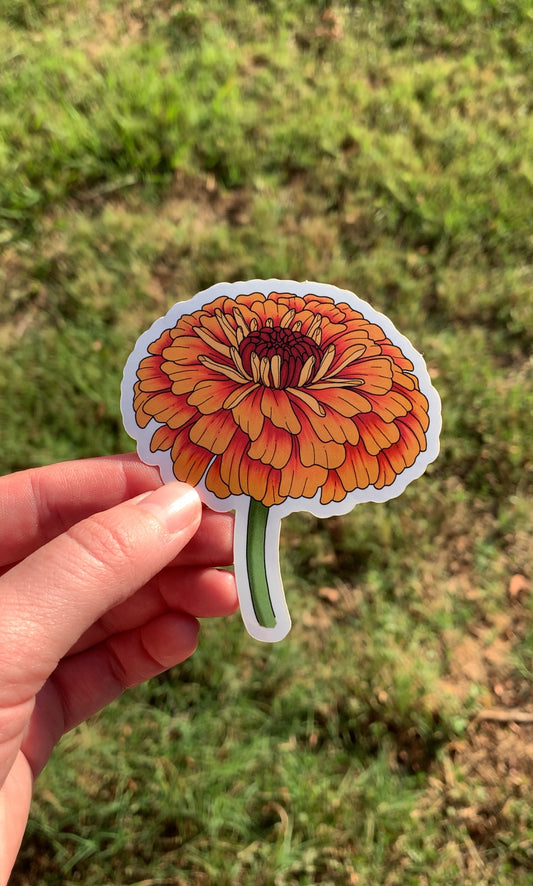 Zinnia in Bloom Sticker