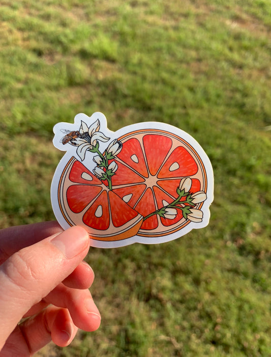 Grapefruit Honeybee Sticker